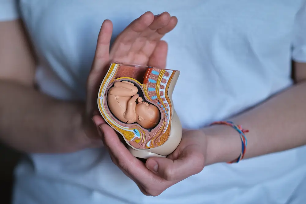 1er mois de grossesse : tout ce qu’il se passe - May App Santé
