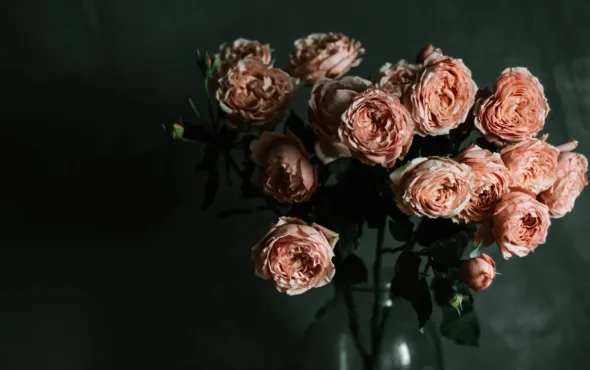 Tout savoir sur les grossesses arrêtées - May App Santé