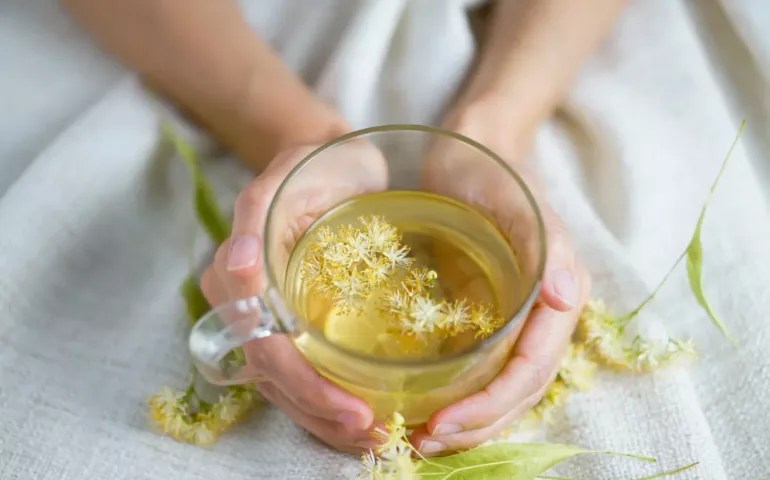 Boire de la tisane pour stimuler l'allaitement - May App Santé