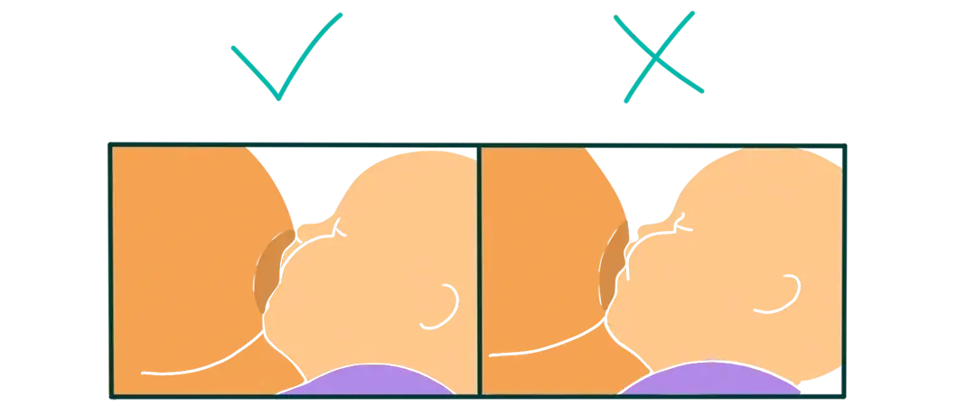 Favoriser le rot du nourrisson après l’allaitement 1 Favoriser le rot du nourrisson après l’allaitement - May App Santé