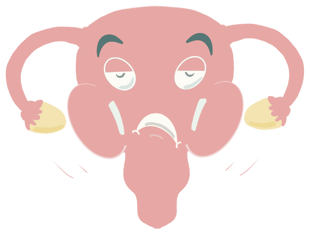 Uterus Contrarie 3 recadre min