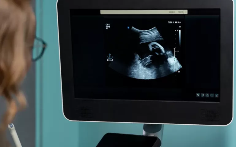 La grossesse intra-utérine : le déroulement normal