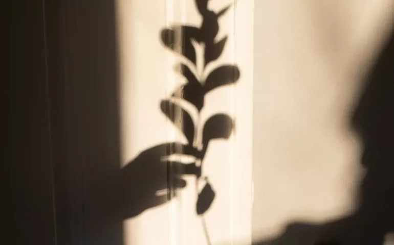 Combien de temps dure une fausse couche ?