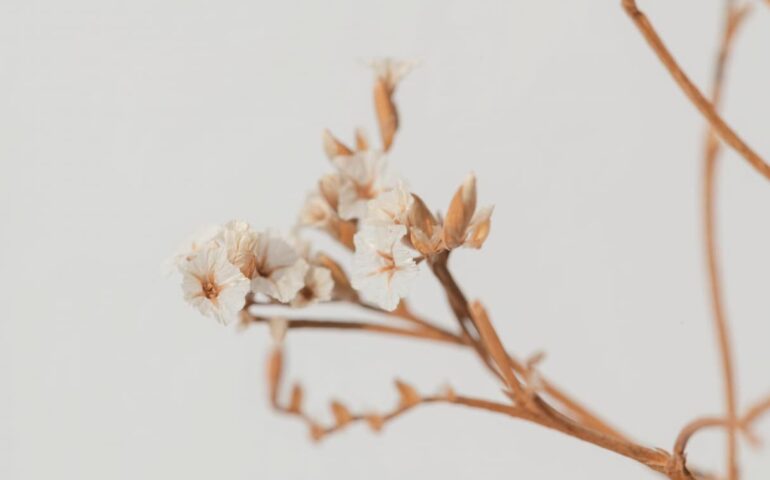 Fausse couche : causes, symptômes et précautions