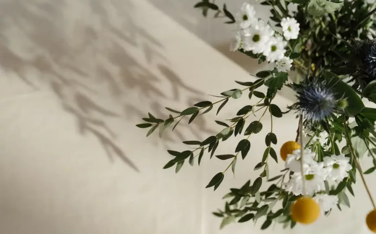 Comprendre les causes des fausses couches à répétition