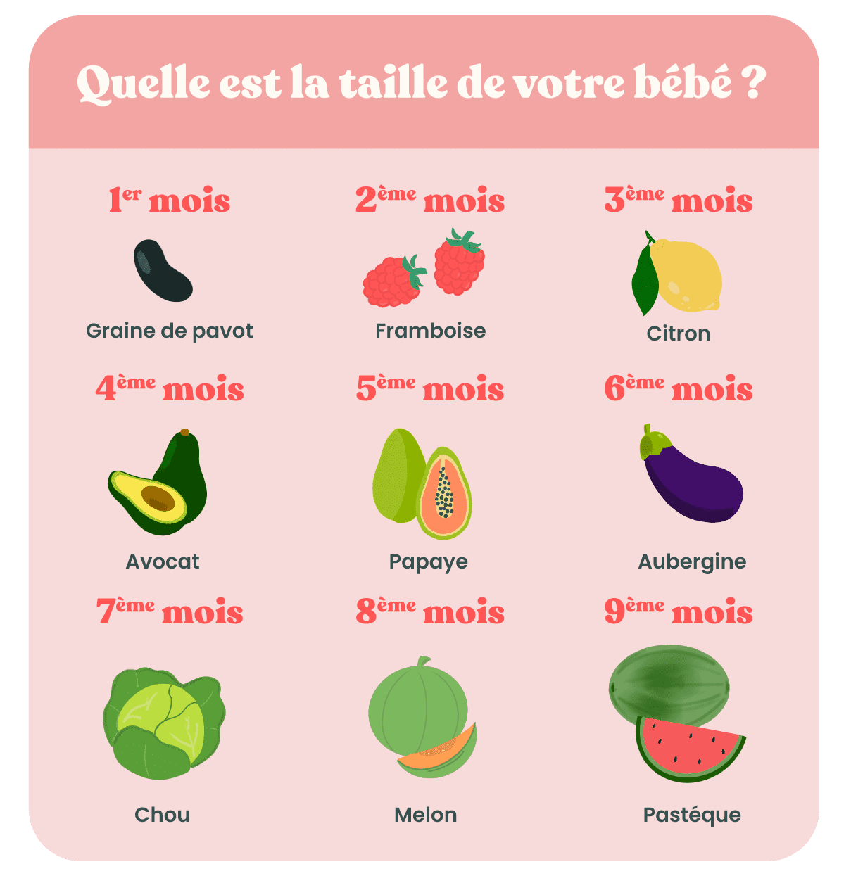 fruits