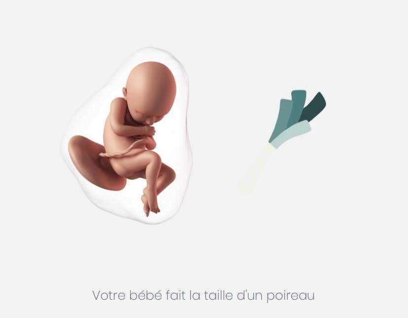 taille bébé
