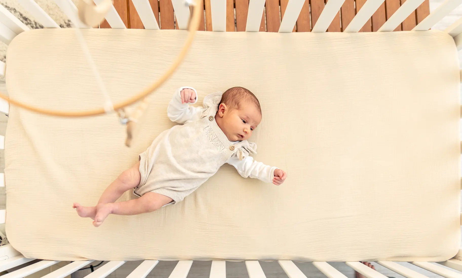 Punaise de lit et bébé : quels risques ? may app santé
