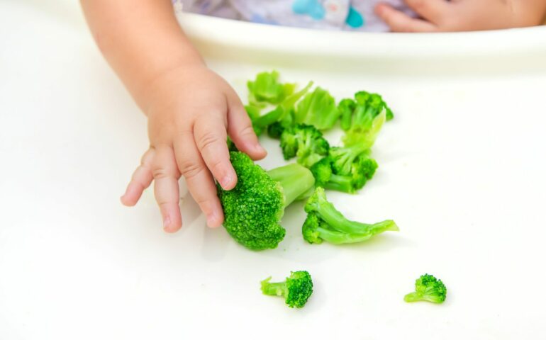 dme bébé alimentation