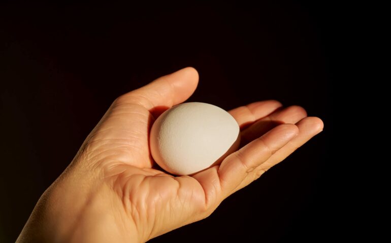 salmonellose enceinte grossesse infection bactérienne