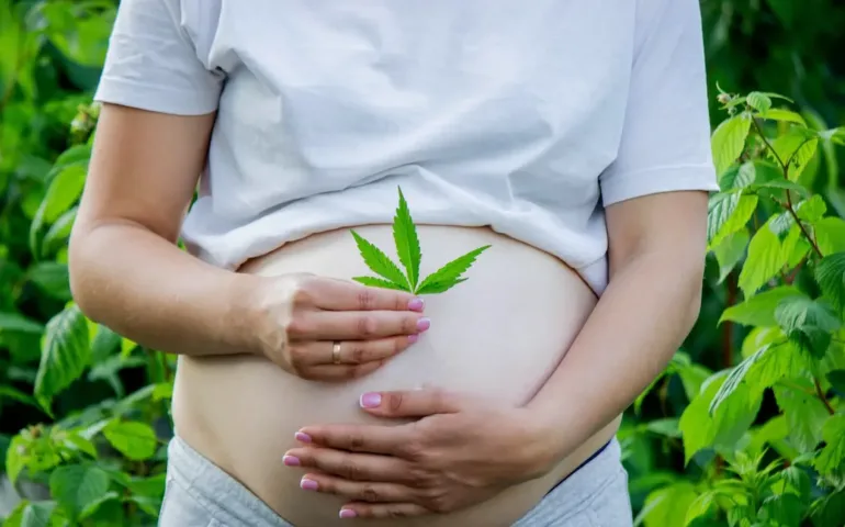 CBD et grossesse : précautions et informations may app santé
