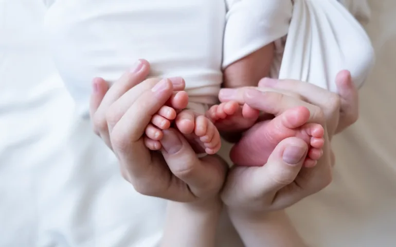 Bébés siamois : le guide complet may app santé