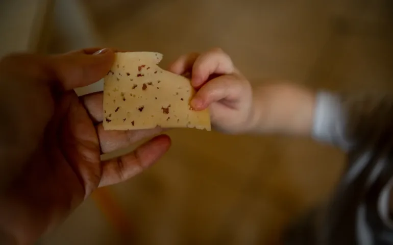 Fromage bébé : quels risques pour la santé ? may app santé