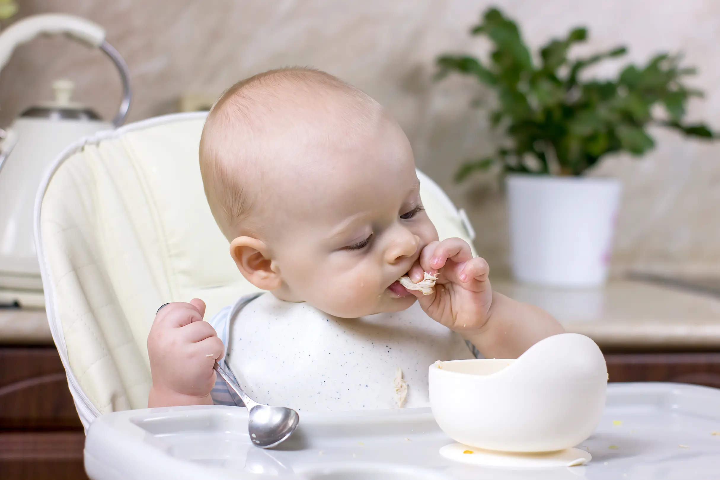 Œuf bébé : à quel âge introduire cet aliment ? may app santé