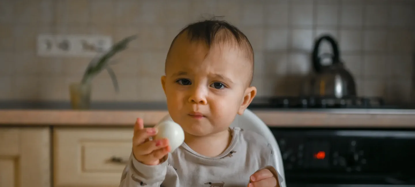 Œuf bébé : à quel âge introduire cet aliment ? may app santé