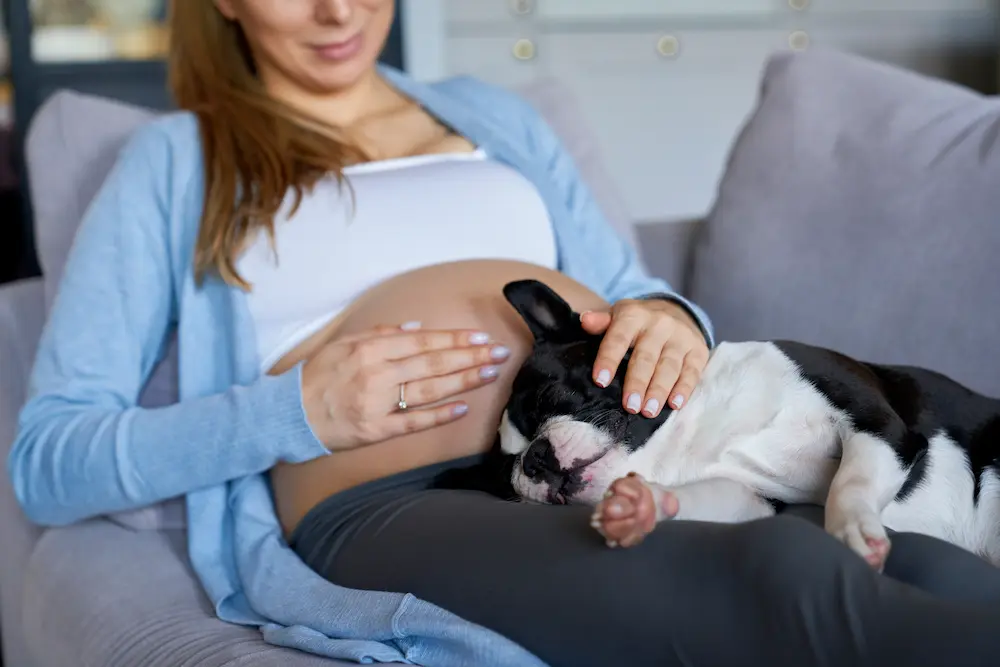 Chien et femme enceinte danger : quels risques et précautions ? - May App Santé