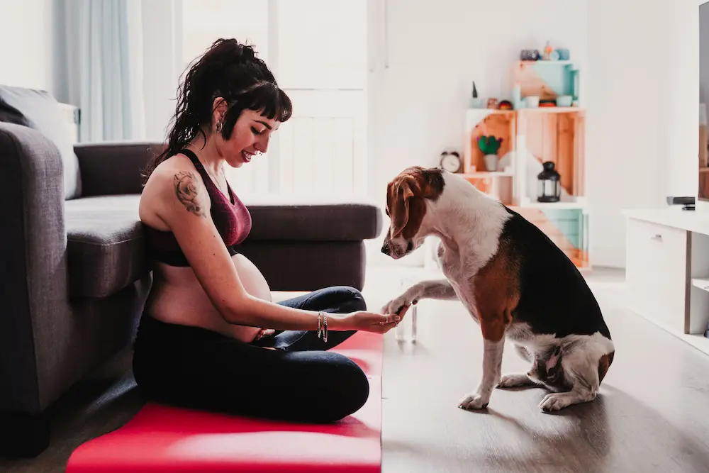 Chien et femme enceinte danger : quels risques et précautions ? - May App Santé