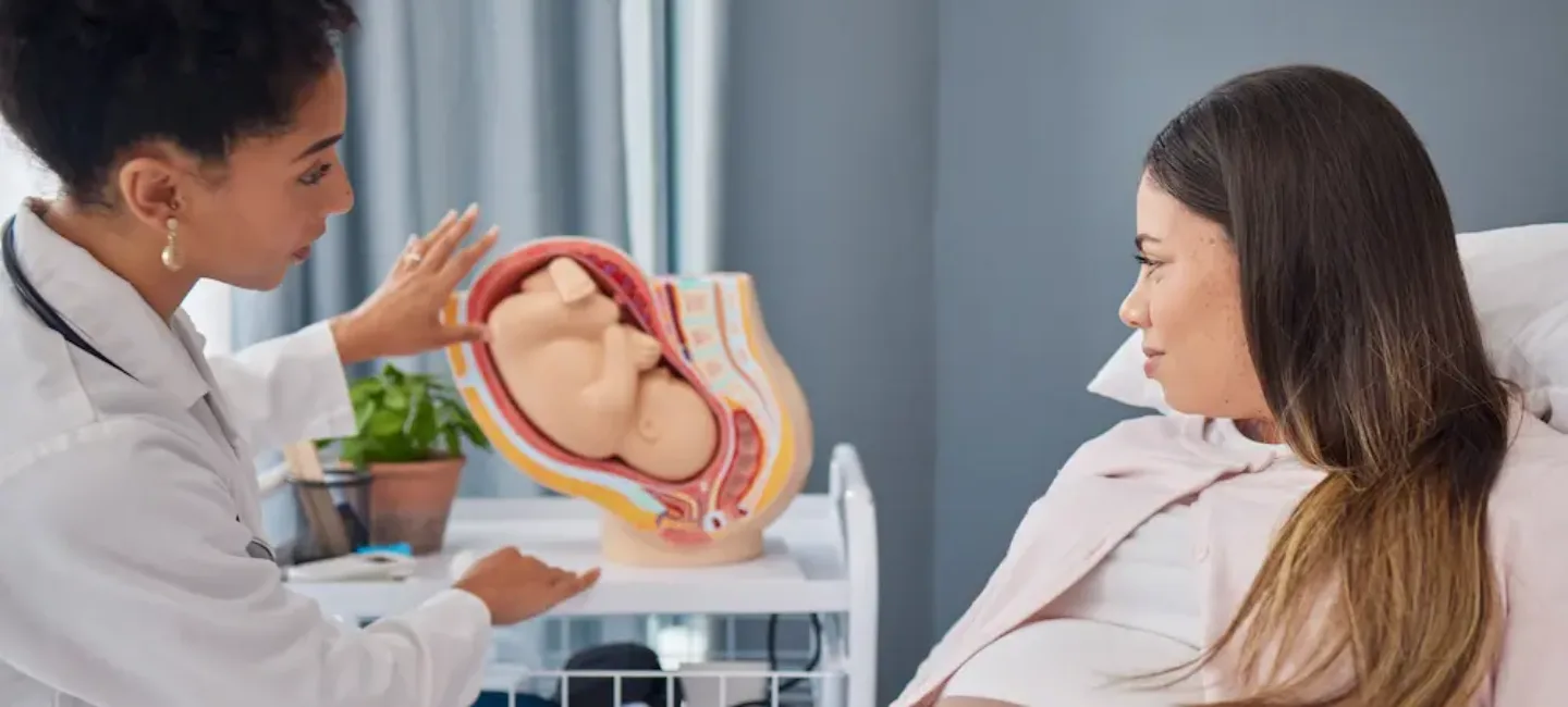 Col ramolli mais fermé : tout savoir sur le col de l’utérus en fin de grossesse - May App Santé