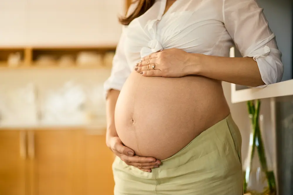 Grossesse gémellaire : quel suivi ? 3 Grossesse gémellaire : quel suivi ? - May App Santé