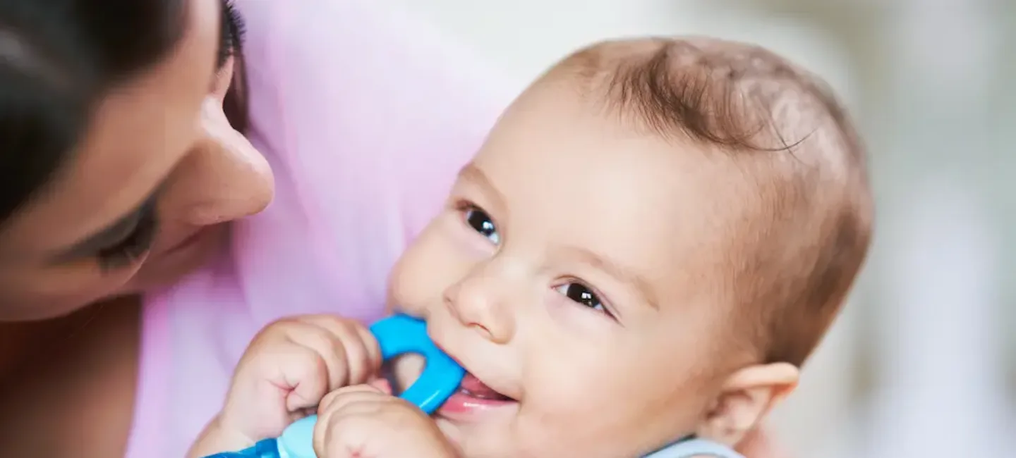 Bébé 8 mois pas de dent : est-ce normal ? May App Santé